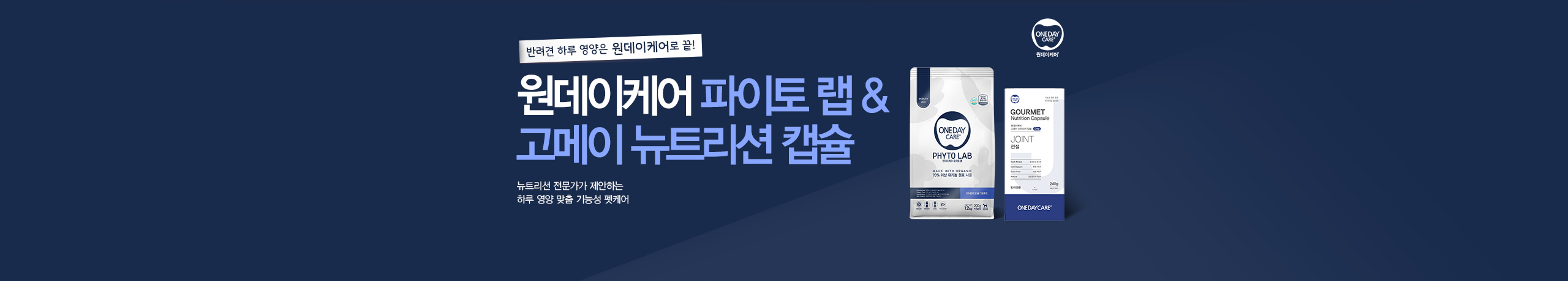 원데이케어